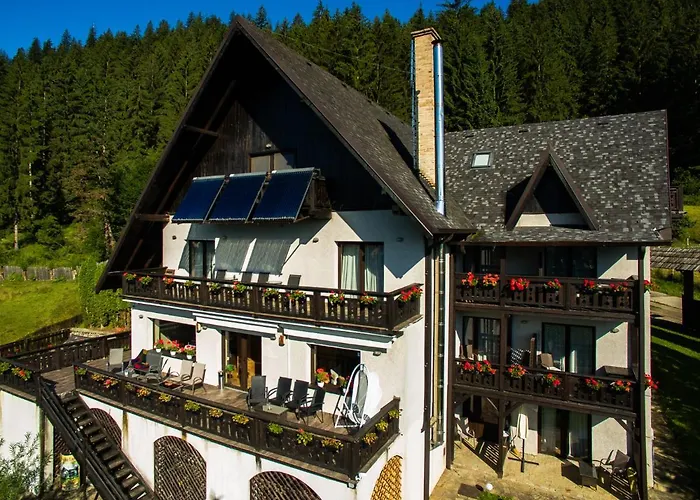 Bucovina Lodge Pension