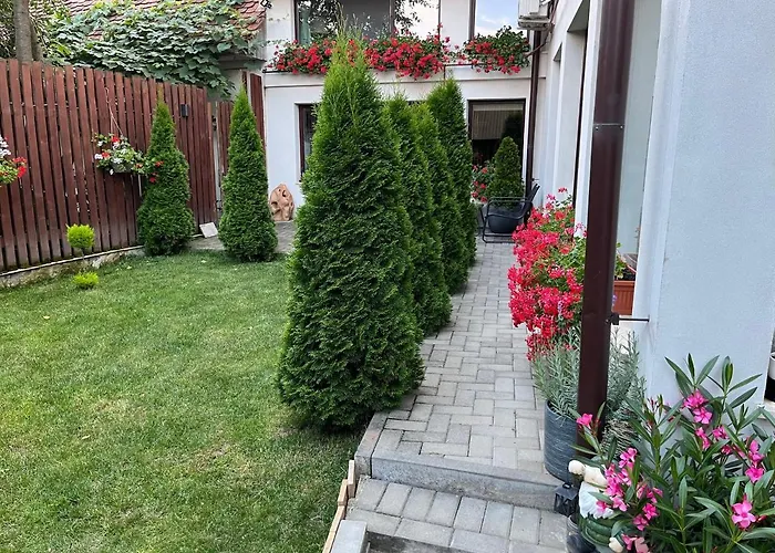 La Podul Cetatii