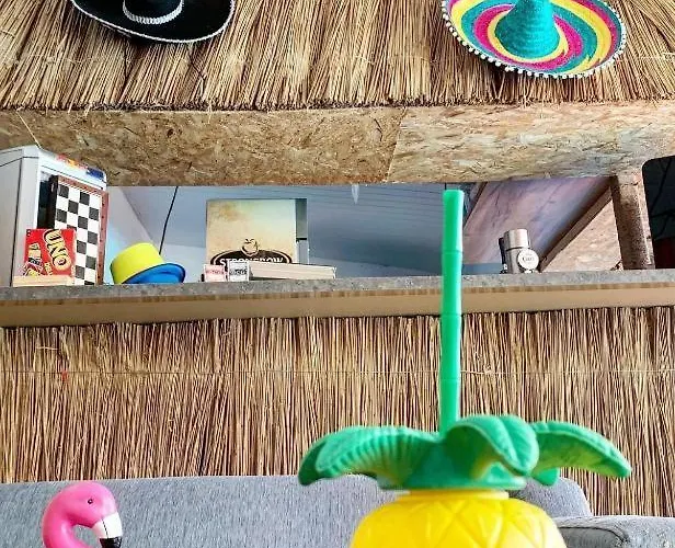Cactus Costinesti Camin Studentesc pentru Elevi si Studenti Hostel, România