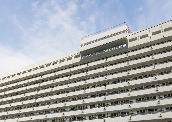 Hotel Mures