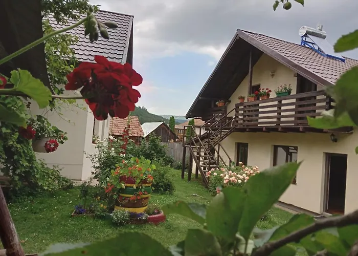 Casa Mili Hotel Grinties, România