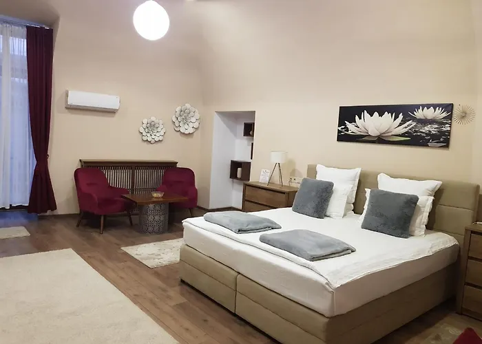 IMPERIAL ROOMS - ULTRACENTRAL - jacuzzi cu hidromasaj Oradea, România