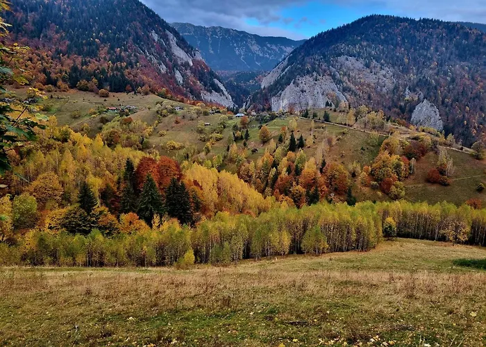 Mosorel
