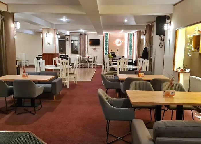 Pensiunea Happy Inn