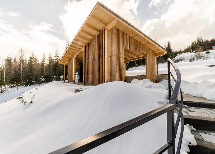 Sali Chalet - Villa in Munții Apuseni Baisoara, România