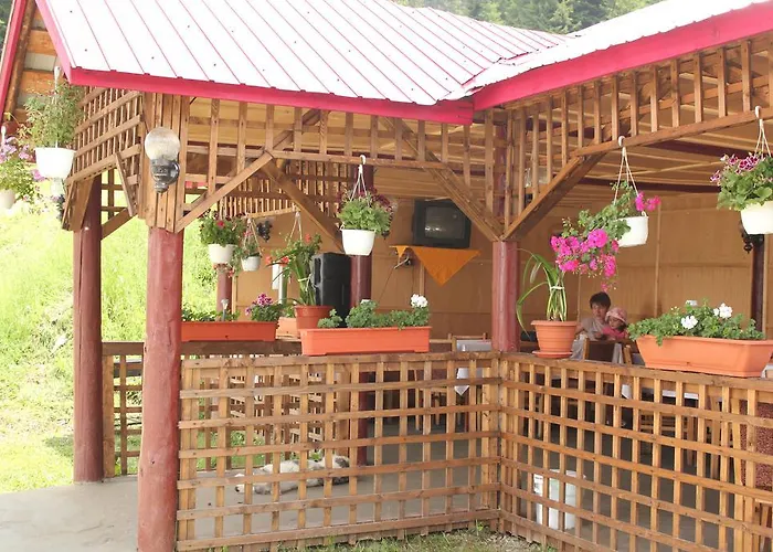 Vilele Vidra Hotel Babeni, România