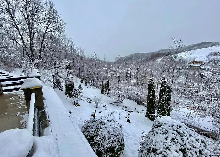 VILA GIGI, ideala pentru relaxare si distractie!