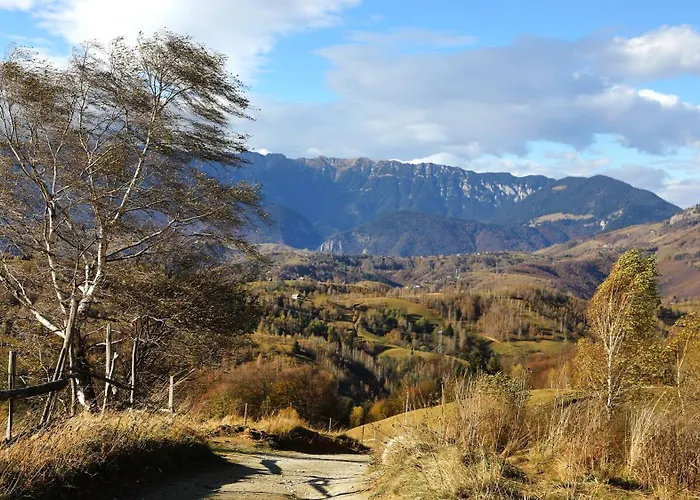 Pensiunea Montan din Bran,sat Simon SPA indoor Bran , România