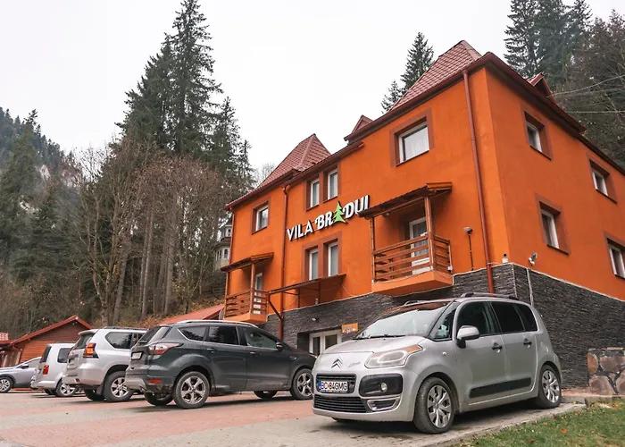 Vila Bradul Lacul Roşu, România
