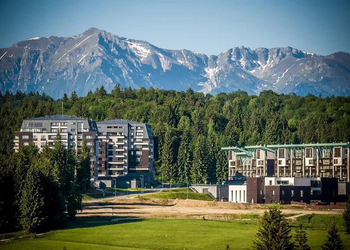 Twin Studio Silver Mountain