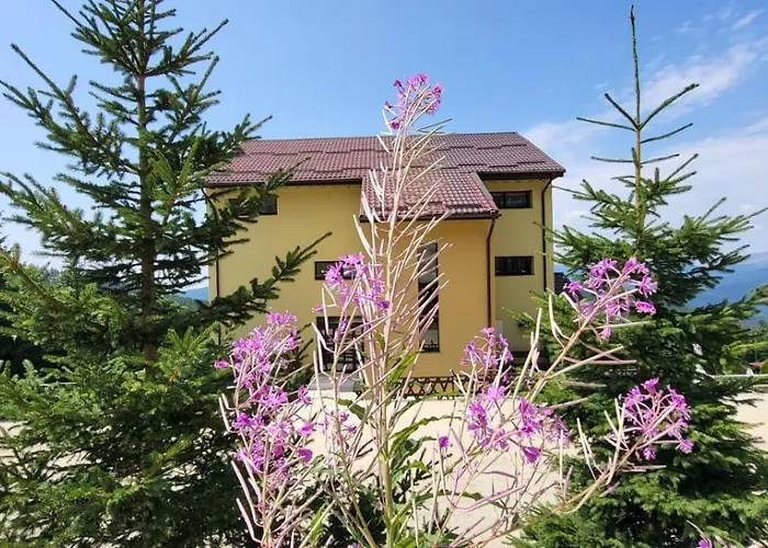 Valea Mariei