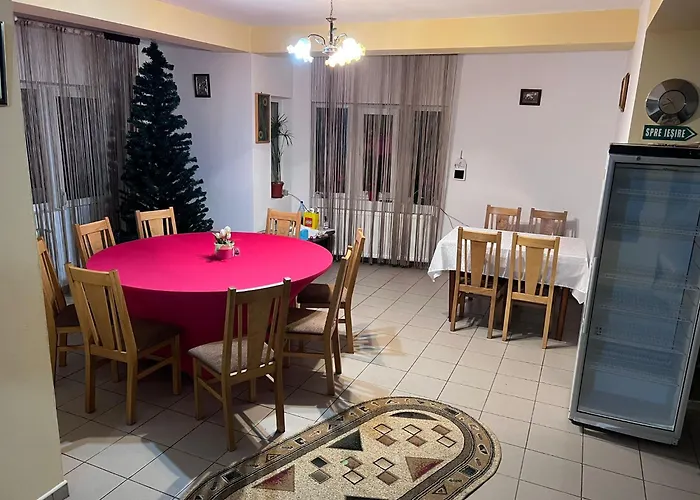 Pension Nicoleta Costesti , România