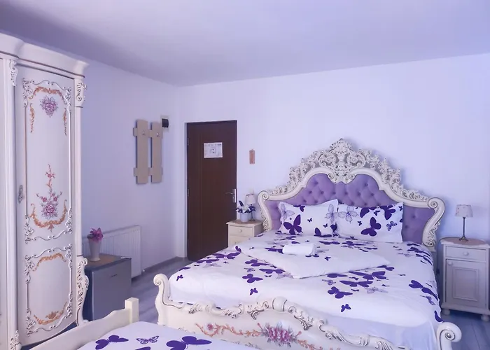 Pensiunea Baron Sighişoara, România