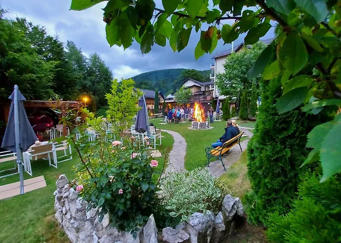Stejari Brasov