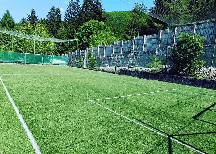 Stejari Brasov