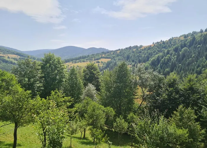 Apuseni Holidays