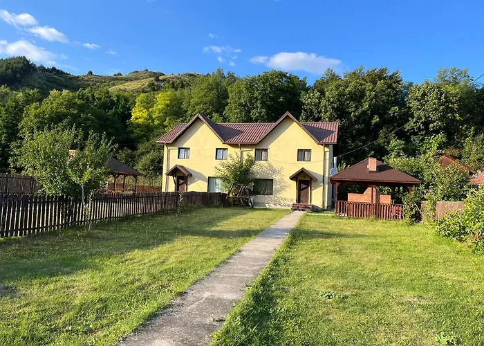 Vila Chiojdu
