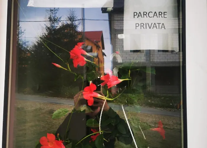 Camere de închiriat Centru Ski Rânca, România