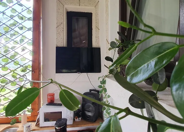 Cazare la fermă