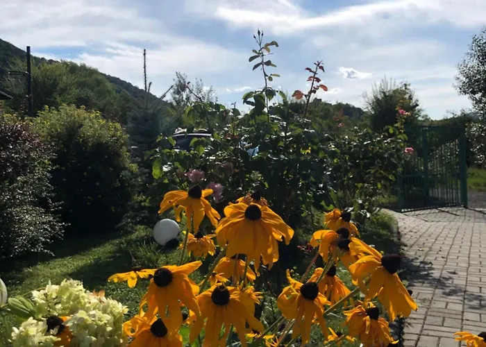 Pensiunea Casa cu Flori Cisnădioara, România