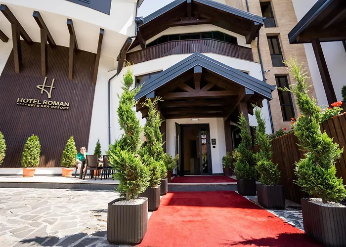 Hotel Roman Maramures