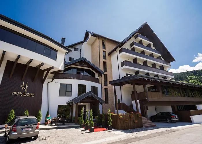 Hotel Roman Maramures