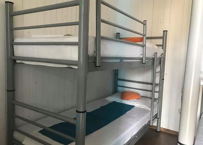 Hostel Flamingo Costinesti Camin Studentesc pentru Elevi si Studenti, România