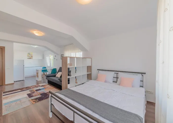 Casa Zorilor Cluj