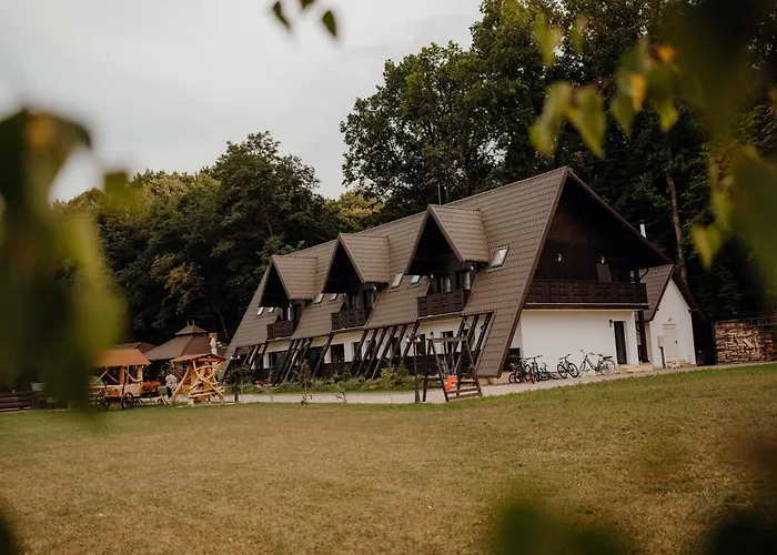 Pensiunea Paradisul Verde Oglinzi, România