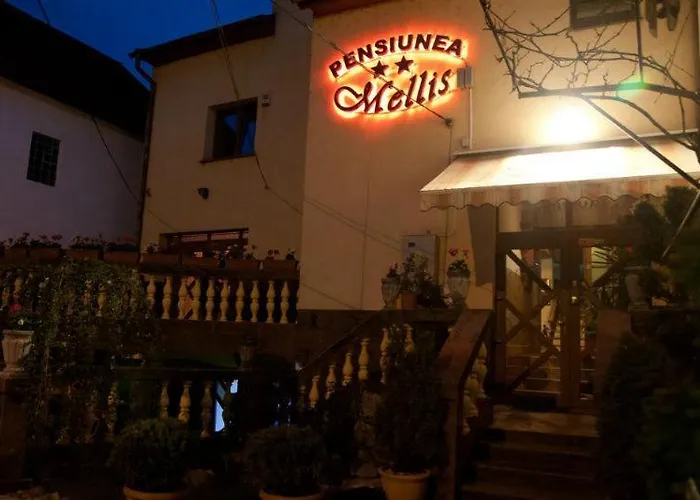 Pension Mellis Cluj Napoca
