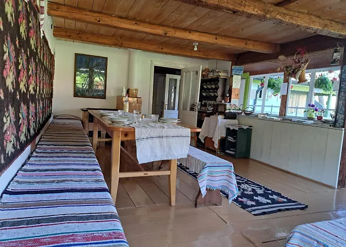 Casa Felicia Hotel Sucevita, România