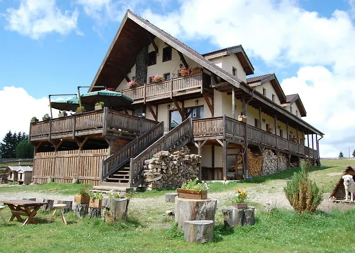Moţilor