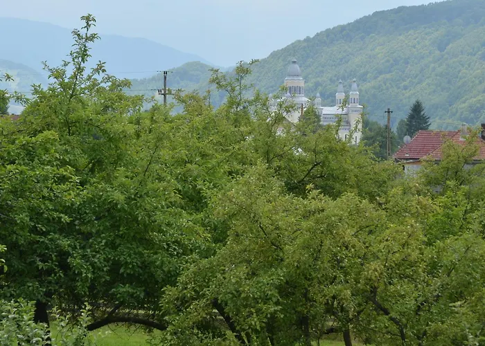 Pensiunea Poezii Alese Valea Drăganului, România