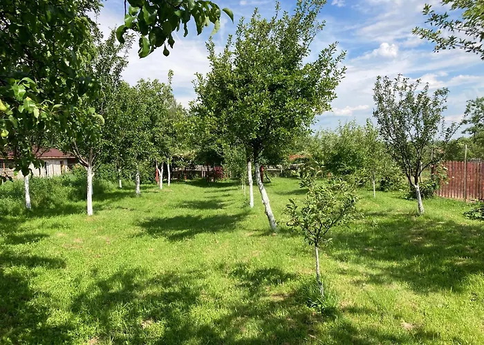 Pensiunea Casa Domnitei Baia de Fier, România