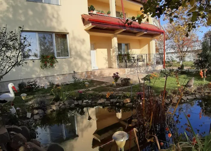 Steaua Nordului Hotel Târgu Neamţ, România