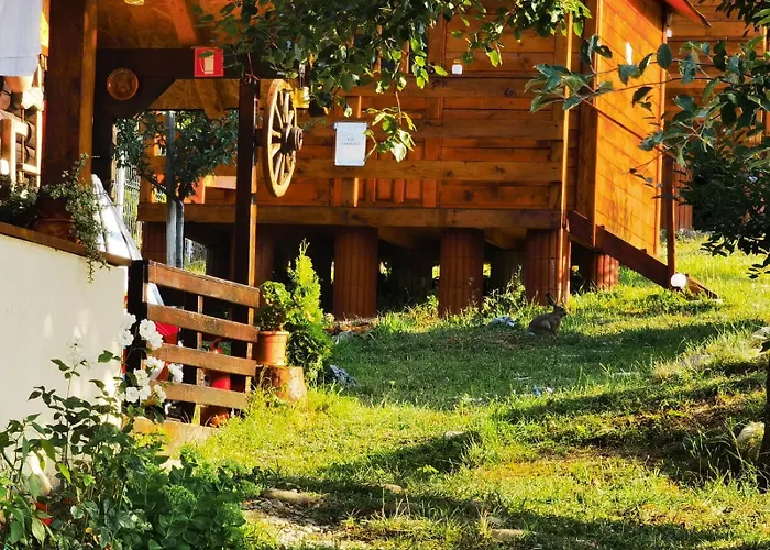 Căsuțele Dintre Vii