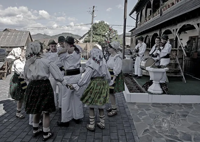 Pensiunea Potcovaru Vişeu de Sus, România