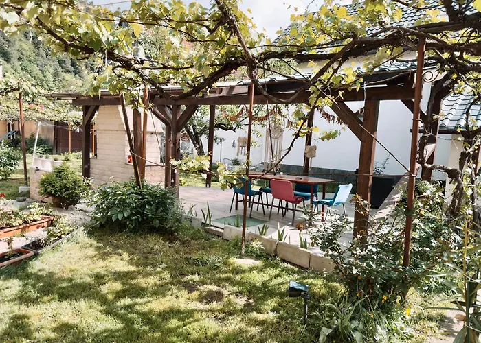 Yard Studio Rasnov
