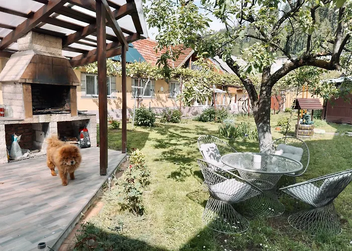 Yard Studio Rasnov