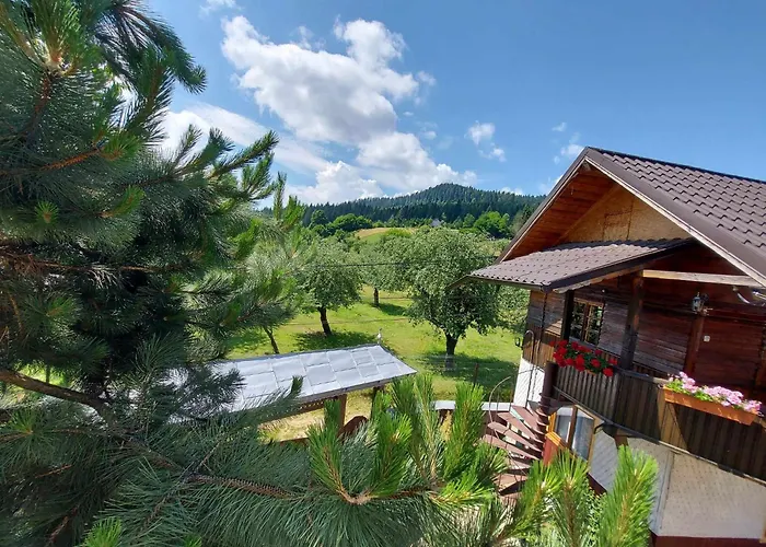 Pensiunea Boca Voroneţ, România