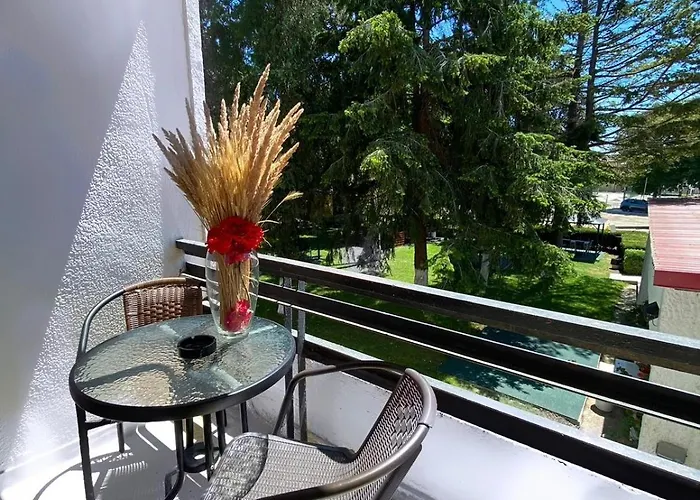 Hotel Rodica