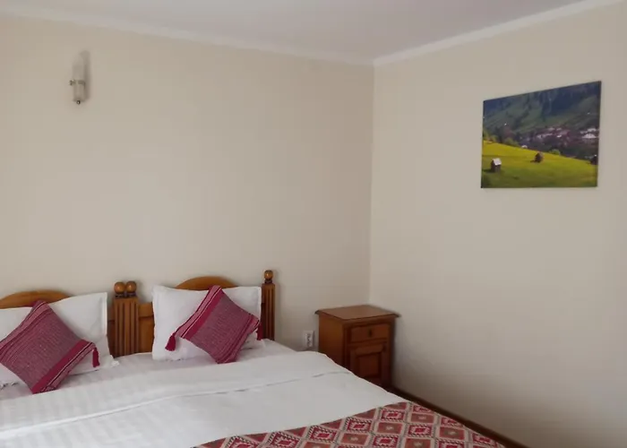 Pensiunea Aluniş Hotel Sadova , România