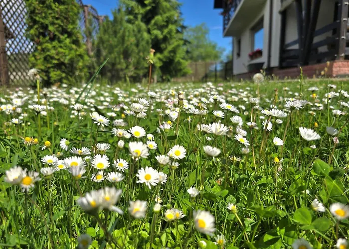 Flora În