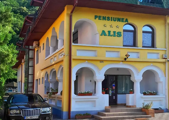 Pensiunea Alis