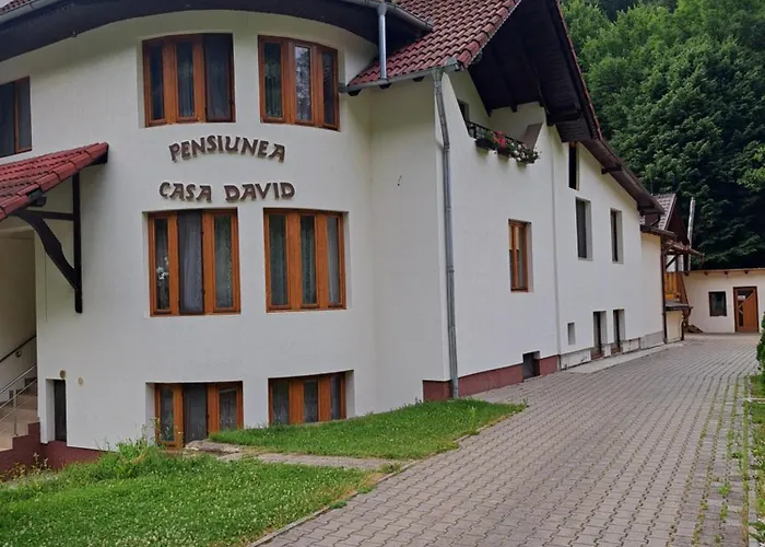Pensiunea Casa David Şugag, România