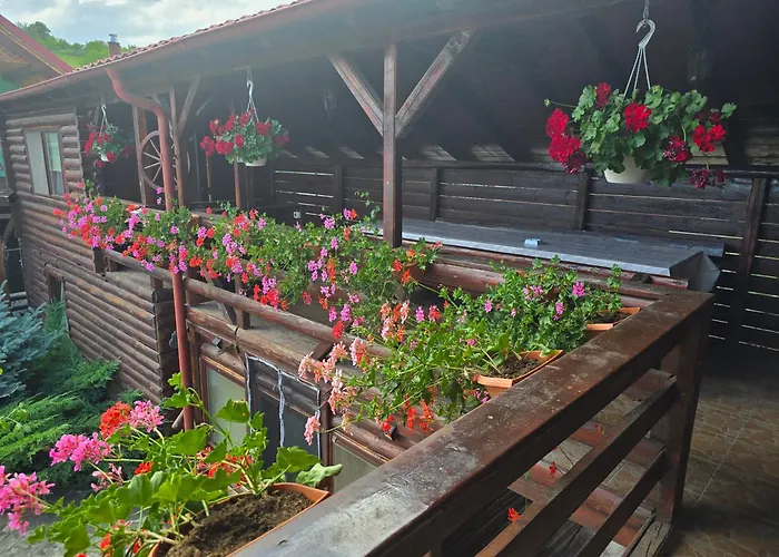 Casa Baciu