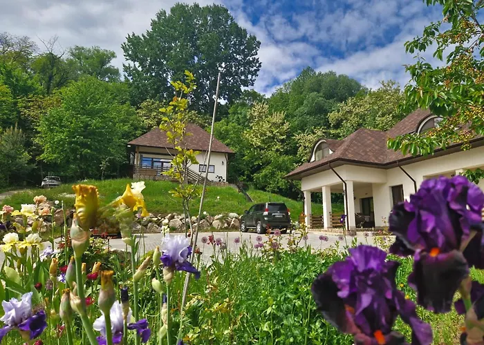 Provence Suceava Hotel, România