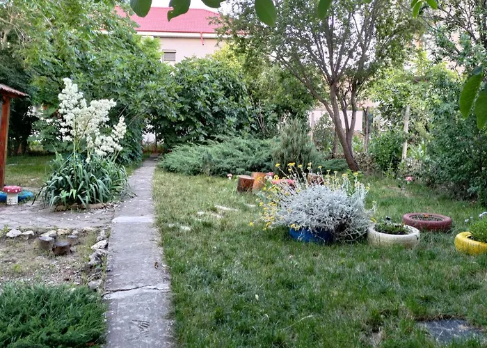 Holiday House Costinesti