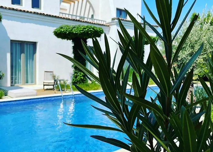Elia Vama Veche (Adults Only)