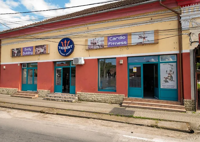 Trident Hotel Haţeg, România